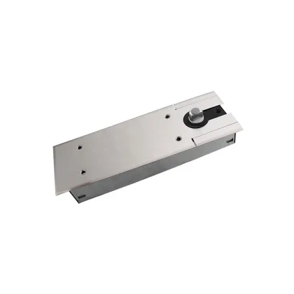 Stainless Steel Hydraulic Glass Door Floor Spring