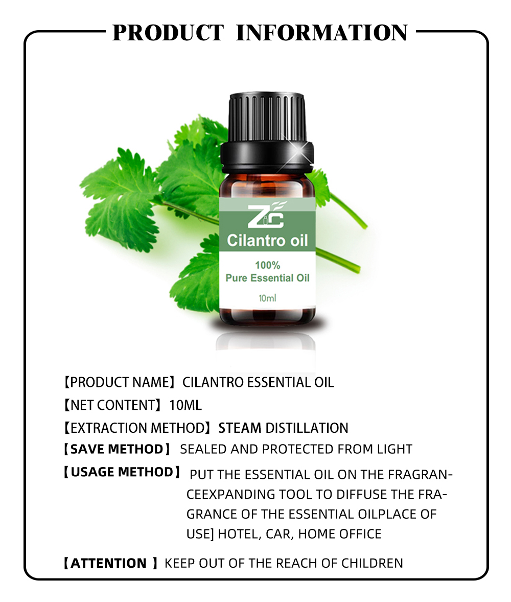 Hot Selling Cilantro Essential Oil Coriander Leaf for Aroma