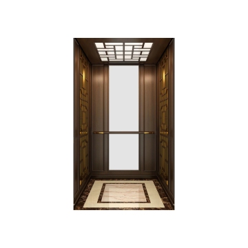 High-End Modern VVVF AC Drive Electric Elevator for Small Residential Villas