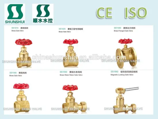 SS10201 kitz gate valves