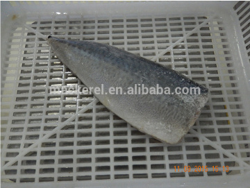 Chinese Fish Frozen Pacific Mackerel Fillet