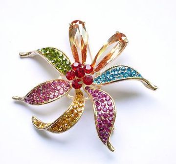 Mode leptocephalus med strass brosch Partihandel