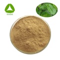 Mulberry-blad extract 1-DNJ / 1-deoxynojirimycinepoeder