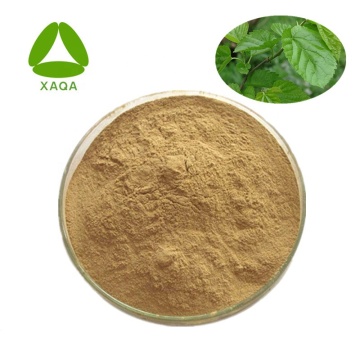 Mulberry Leaf Extract 1-DNJ / 1-deoxynojirimycin Powder