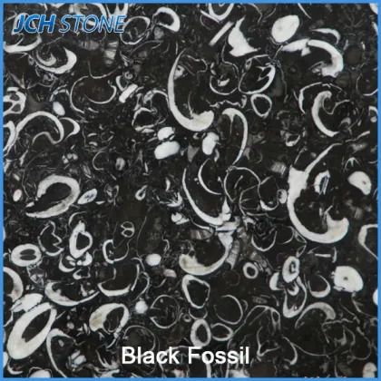 Fossil schwarz granit platten