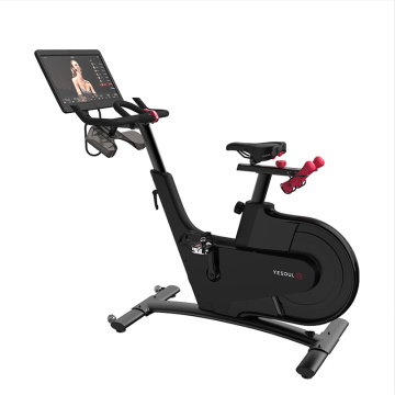 Ναιούλ V1 συν μαγνητική άσκηση Spinning Bike Indoor