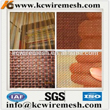 Top quality!!! Kangchen phosphor bronze wire netting manufacturer .