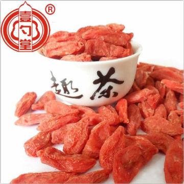 Air-Dried Red Berries Goji Berries Fruit