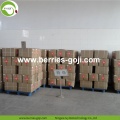 Factory Supply fruit natuurlijke verpakking Goji bessen