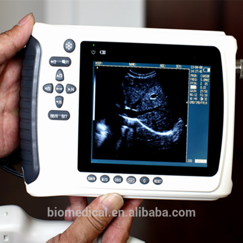 Palm Dog Ultrasound Machine / Handheld Vet Ultrasound Scanner