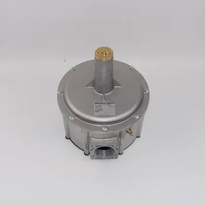 Giuliani Anello Air-Fired Proportional Valves DN50 GAVR50