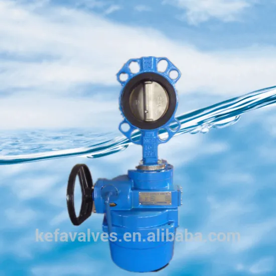 hard seat butterfly valve with pin