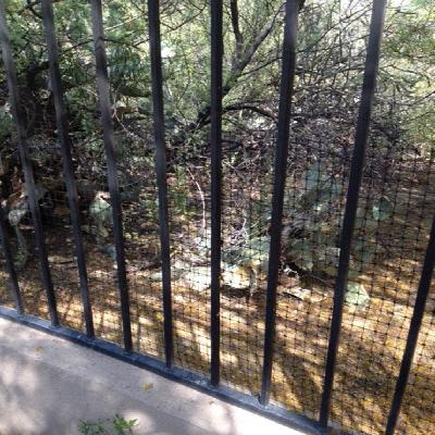 Garden Protection Fence Garden Protection Fence