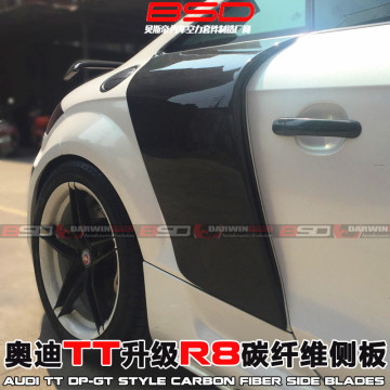 2007-2014 TT PPI Style Carbon Fiber Blades para Audi
