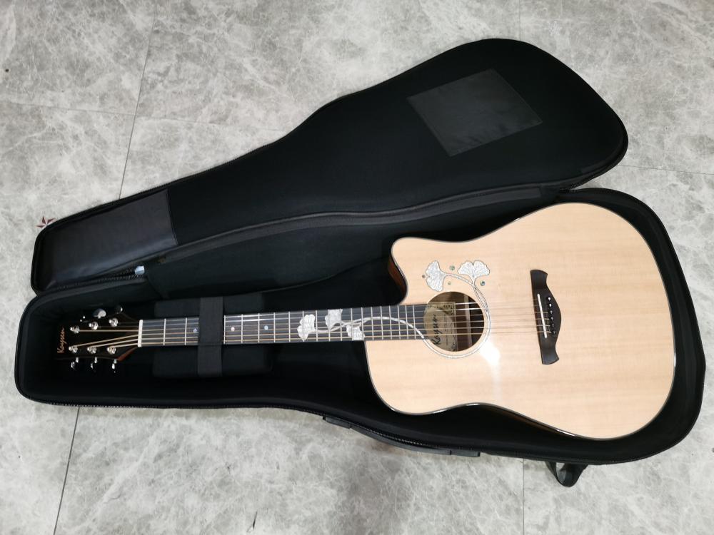 A50 Acoustic Guitar Bag