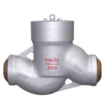 Power station lifting and rotary check valves
