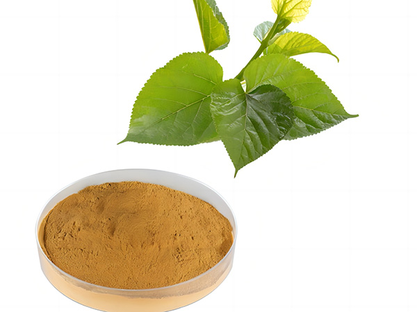 Mulberry Leaf Extract 