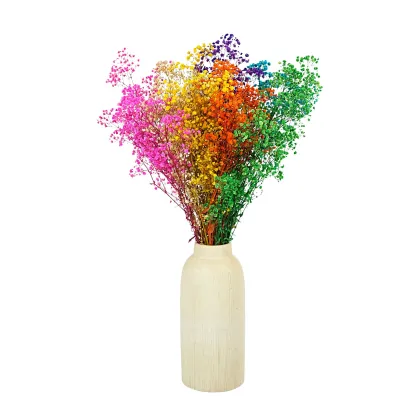 Mingyue Various Colors Dried Gypsophila Babys Breath