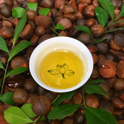 Pure Camellia oil bulk cold press camellia seed oil wholesale edible cooking oil For massage