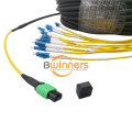 12F MPO (F) -LC G657A2 LSZH สายแพทช์ไฟเบอร์