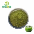 Extracto de cebada de cebada Pearl Barley Grass Powder