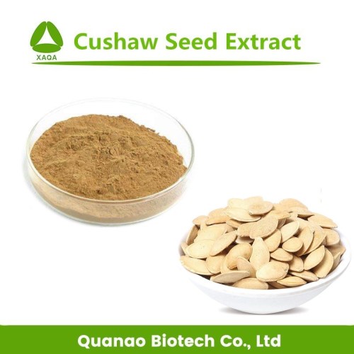 Cushaw Pumpkin Seed Extract Powder 10: 1