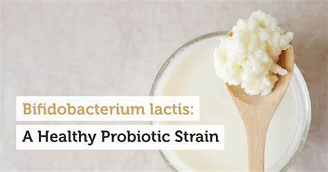 BIFIDOBACTERIUM LACTIS1 