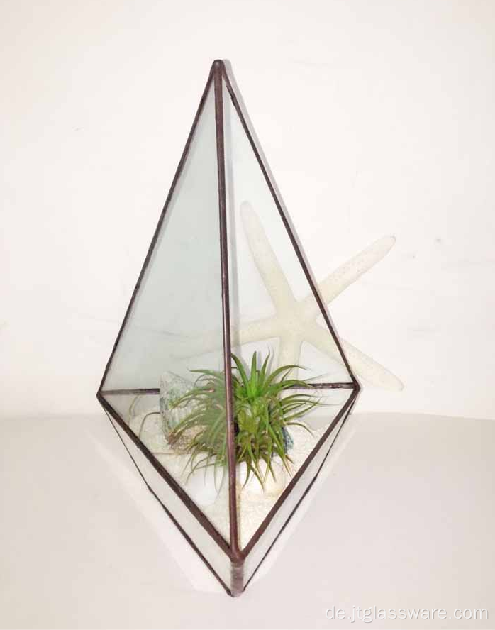 Quadratischer Pflanzkasten im Terrarium-Stil aus Glas