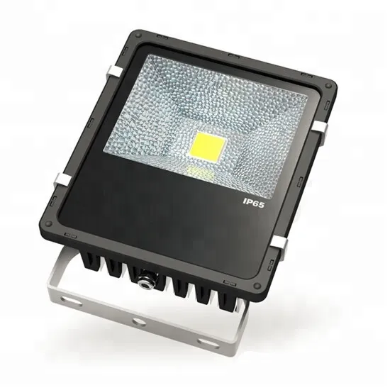 10W LED Outdoor Flood Light with Mini Projector