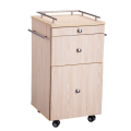 Eco-friendly Wooden Salon Tool Storage Cabinet