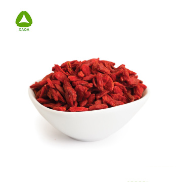 Wolfberry / Goji Berry Extract Powder Polysaccharide 20%