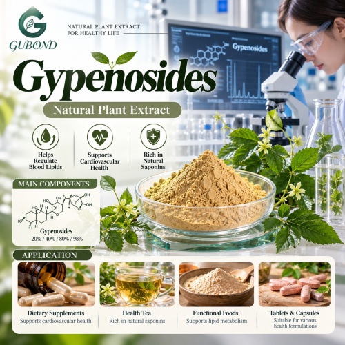 Gypenosides 20%–98% Extrato de Gynostemma pentaphyllum para formulações cosméticas e alimentícias