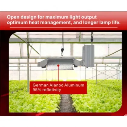 Gavita Pro Line 1000W HPS DE Fixture Bulb with HPS Ballast