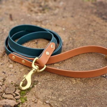 Borong Mewah Fesyen Laras Dog Pvc Soft Fesyen Borong Dengan Tag Nama
