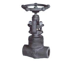 Forged steel globe valve