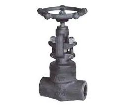 Forged steel globe valve