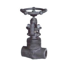 Forged steel globe valve