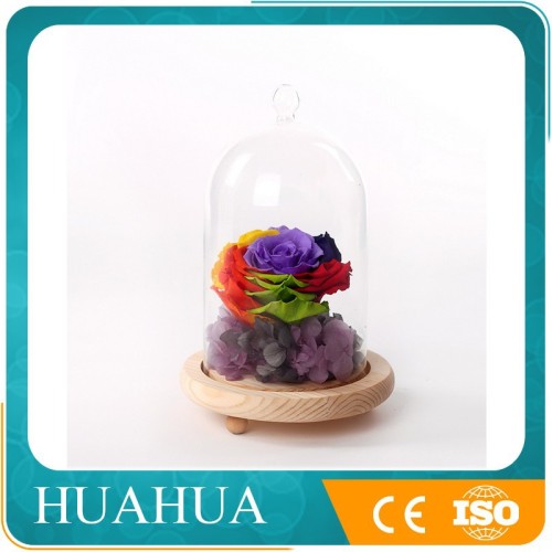 Real Touch Preserved Rainbow Rose Head For Best Women Gift, High