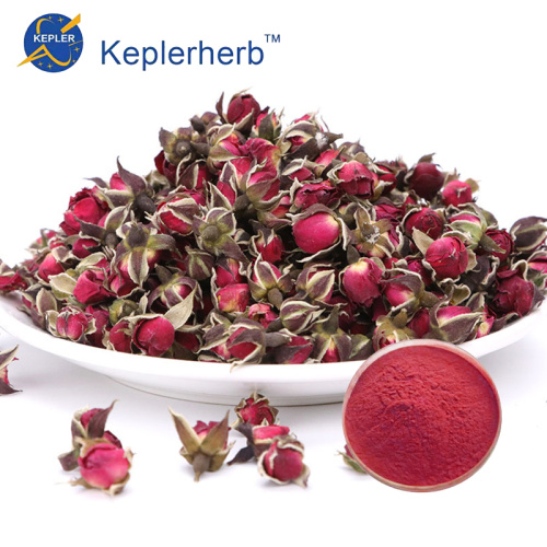 Rose Flower Extract Powder