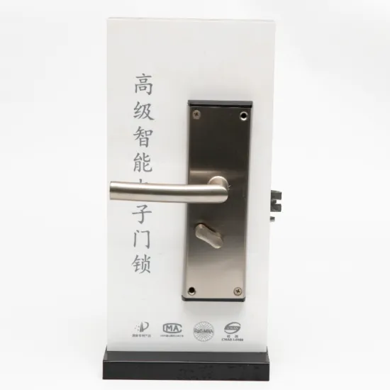 Luxurious Swipe Card Elevtronic Mortise Door Lock