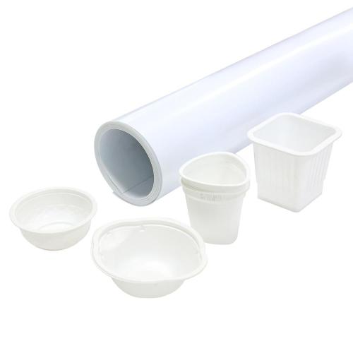 Environment Friendly Plastic PP Film Sheet