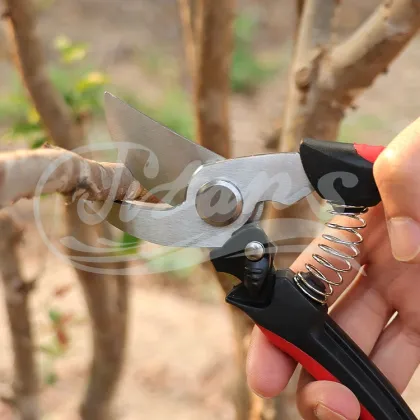 High Quality Garden Pruners and Shears: Essential Supplies for Gardening Enthusiasts