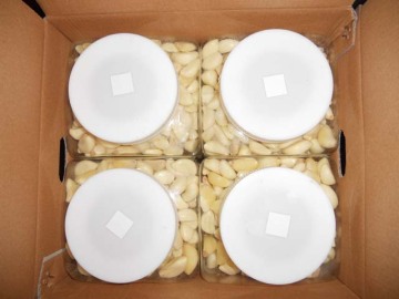 Normal or Pure White Garlic Peeled Garlic
