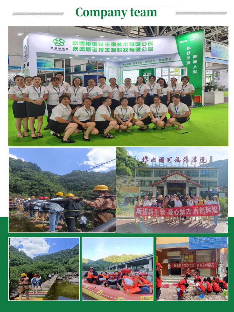 Company Team
