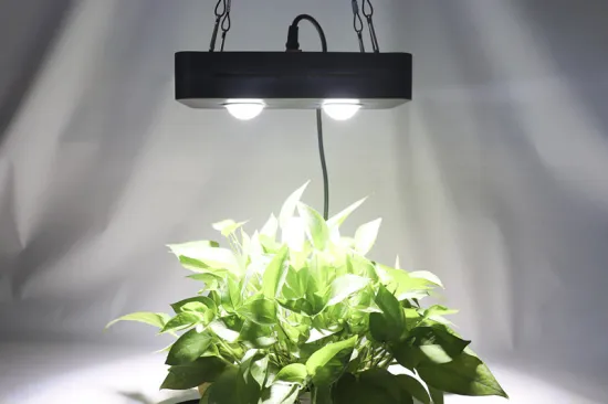 Grow light bulbs 4000k white pink lighting