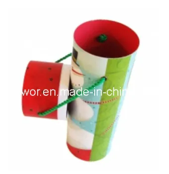 Paper Gift Box, Gift Boxes (TW-PGB0073)