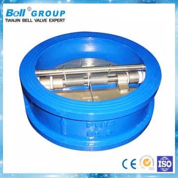 spring loaded check valve 6 inch