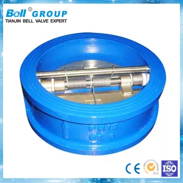 spring loaded double check valve