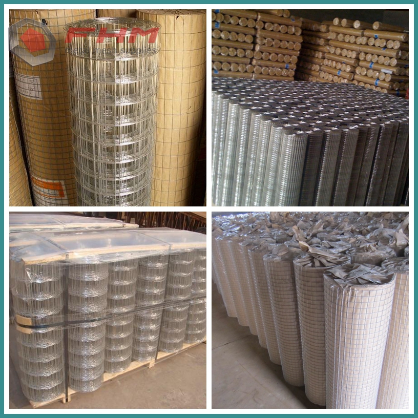 Welded Wire Mesh