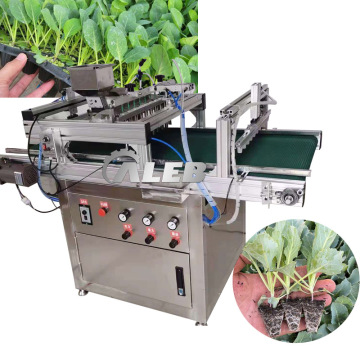 Macchina di semina automatica per semi per pomodoro, cavolo, cipolla e vassoi di verdure